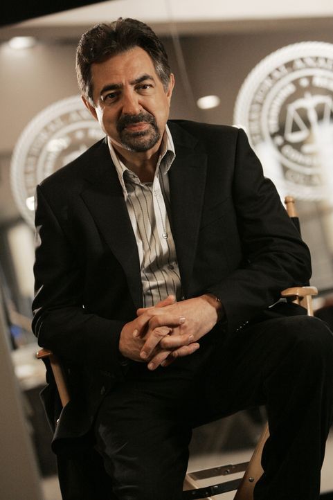 (5. Staffel) - Mitglied der B.A.U., einer FBI-Einheit, die sich mit verhaltensauffälligen Tätern beschäftigt: Supervisory Special Agent David Ros... - Bildquelle: Touchstone Television