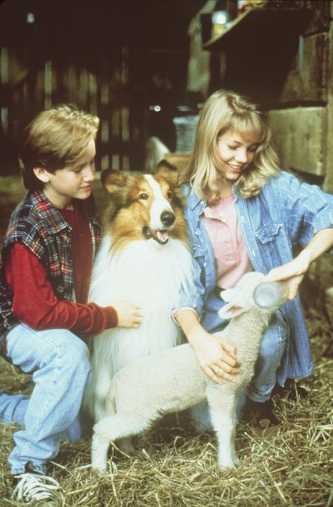 Die intelligente Lassie erweist sich als große Hilfe für Matt (Tom Guiry, l.) und April (Michelle Williams, r.) bei der Schafaufzucht ... - Bildquelle: Paramount Pictures