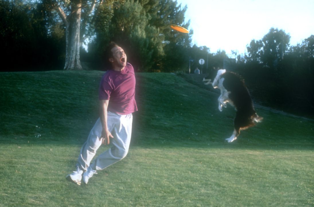 Das Tier in Marvin (Rob Schneider) fordert immer häufiger seinen Tribut. Ein harter Kampf zwischen den humanen und den animalischen Eigenschaften b... - Bildquelle: 2003 Senator Film