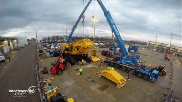 Abenteuer Leben - Abenteuer Leben - Faszinierende Giganten! Der Mühsame Aufbau Der Bauma