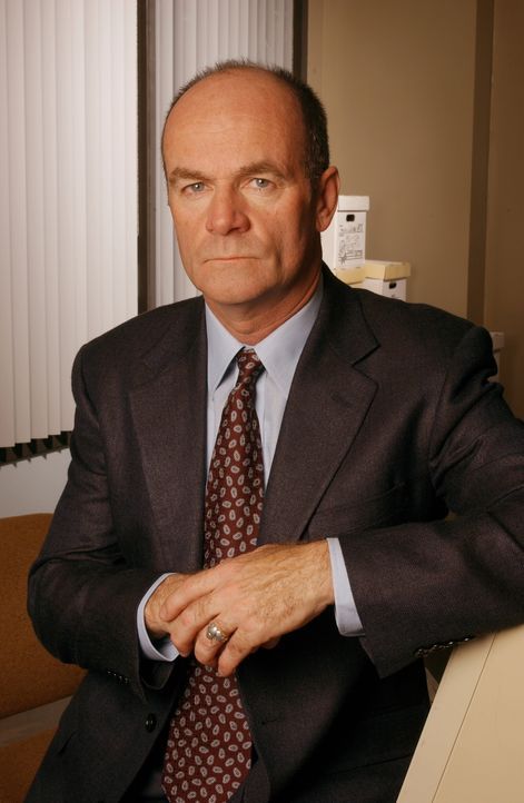 (1. Staffel) - Lt. John Stillman (John Finn) ist Lilly Rushs direkter Vorgesetzter und füllt außerdem die Rolle eines väterlichen Freundes aus - Bildquelle: Warner Bros. Television