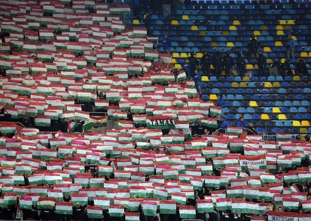 Fußball-Fan-Ungarn-151008-4-AFP - Bildquelle: AFP