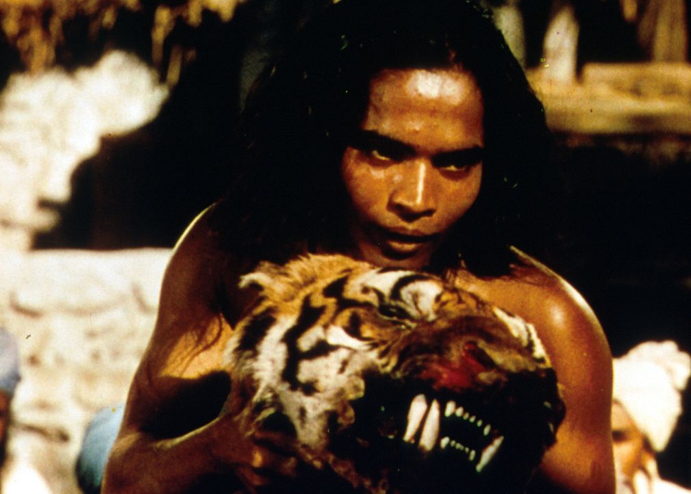 Als kleiner Junge flieht Nathoo  in den Dschungel, wo er von den Wölfen aufgezogen wird und von ihnen den Namen Mowgli (Sabu) erhält. Doch er hat... - Bildquelle: United Artists