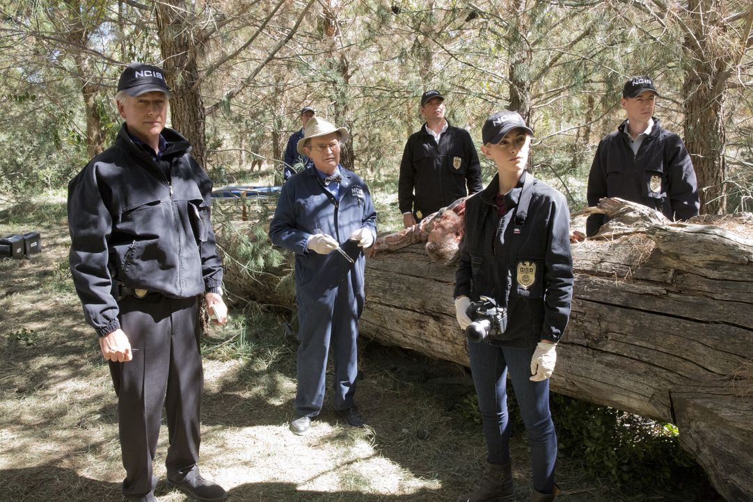 Als ein Navy-Offizier im Ruhestand ermordet wird, beginnen Gibbs (Mark Harmon, l.), Ducky (David McCallum, 3.v.l.), Jimmy (Brian Dietzen, 2.v.l.), D... - Bildquelle: Robert Voets CBS Television / Robert Voets