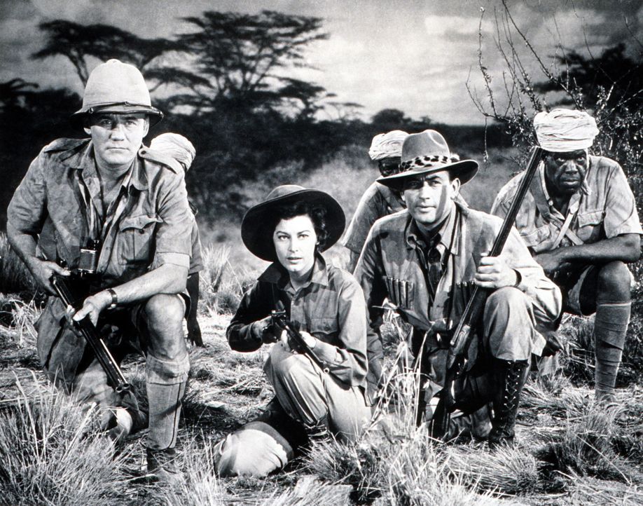 Begeben sich auf eine Safari in Afrika unter den wachsamen Augen von Johnson (Torin Thatcher, l.): der Schriftsteller und Globetrotter Harry Street... - Bildquelle: 1952 Twentieth Century Fox Film Corporation.