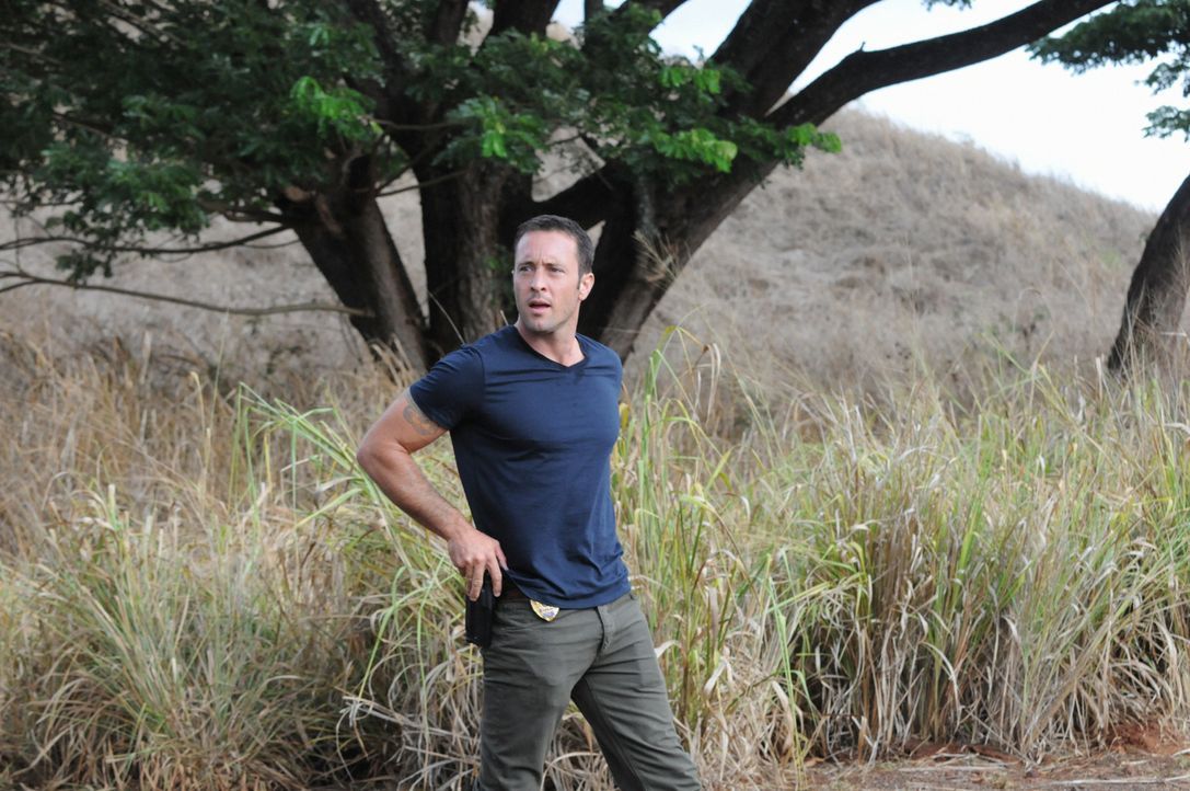 Ein neuer Fall wartet auf Steve (Alex O'Loughlin) ... - Bildquelle: 2013 CBS BROADCASTING INC. All Rights Reserved.
