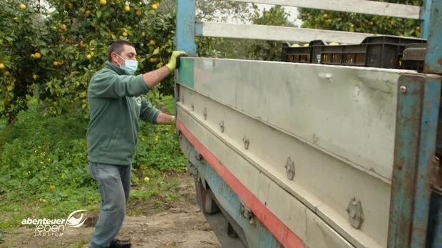 Abenteuer Leben - Abenteuer Leben - Freitag: Bergamotte - Die Alleskönner Frucht