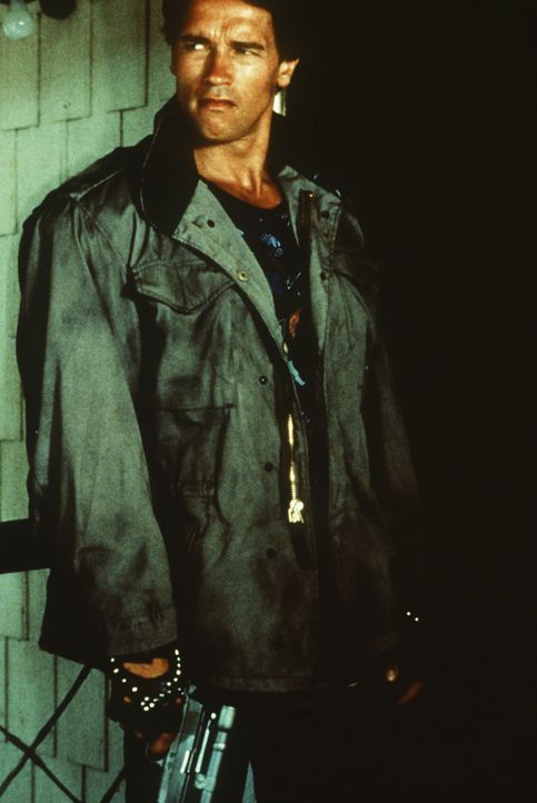 Auf Mord programmiert: Der Terminator (Arnold Schwarzenegger) ... - Bildquelle: Orion Pictures Corporation