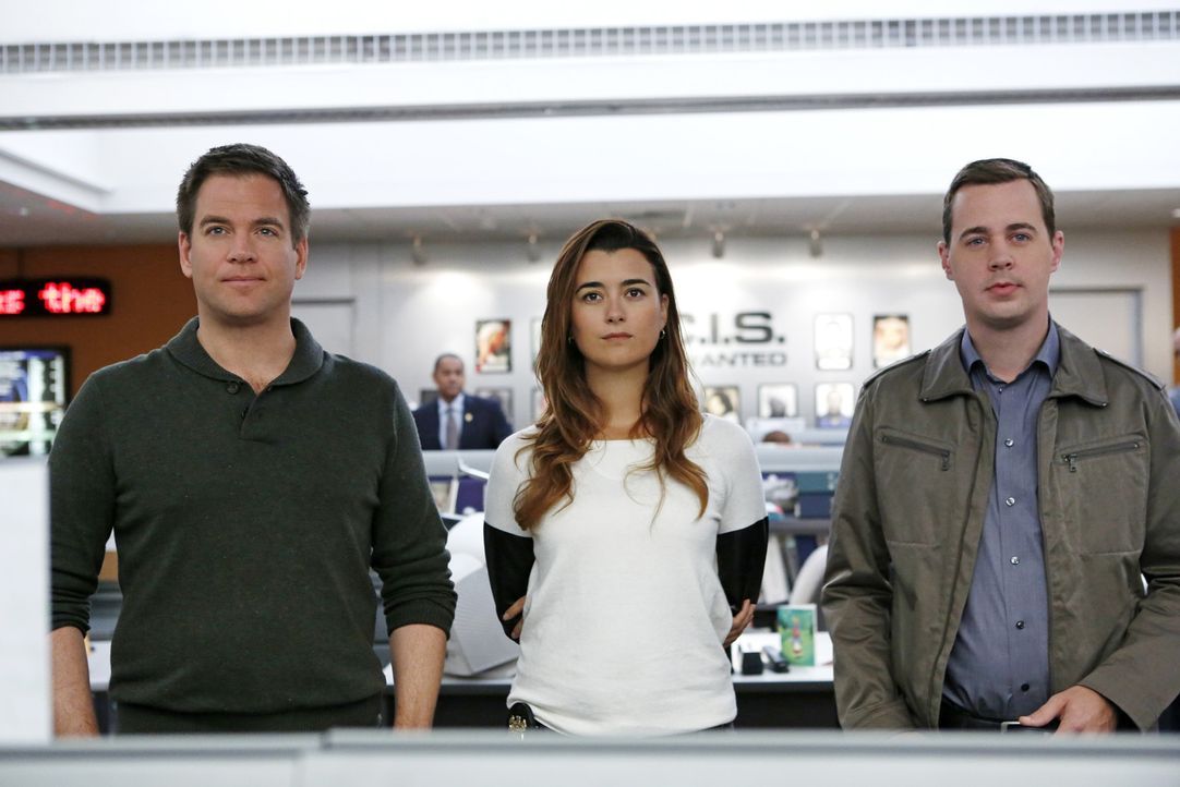 Ein neuer Fall wartet auf DiNozzo (Michael Weatherly, l.), Ziva (Cote de Pablo, M.) und McGee (Sean Murray, r.) ... - Bildquelle: CBS Television