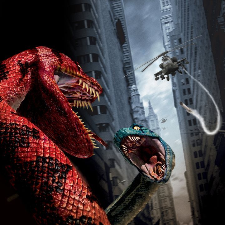 Boa vs. Python - Duell der Killerschlangen - Bildquelle: Sony Pictures Television International. All Rights Reserved.