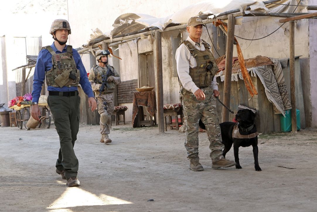 In Afghanistan wird ein Hundeführer der Marines, Ted LaMere, aus dem Hinterhalt erschossen. Gibbs (Mark Harmon, r.) und McGee (Sean Murray, l.) begi... - Bildquelle: CBS Television