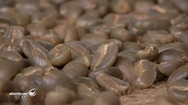 Abenteuer Leben - Abenteuer Leben - Essen Aus Aller Welt: Von Kaffeebohnen, über Zur Soyasauce Bis Zur Konservendose