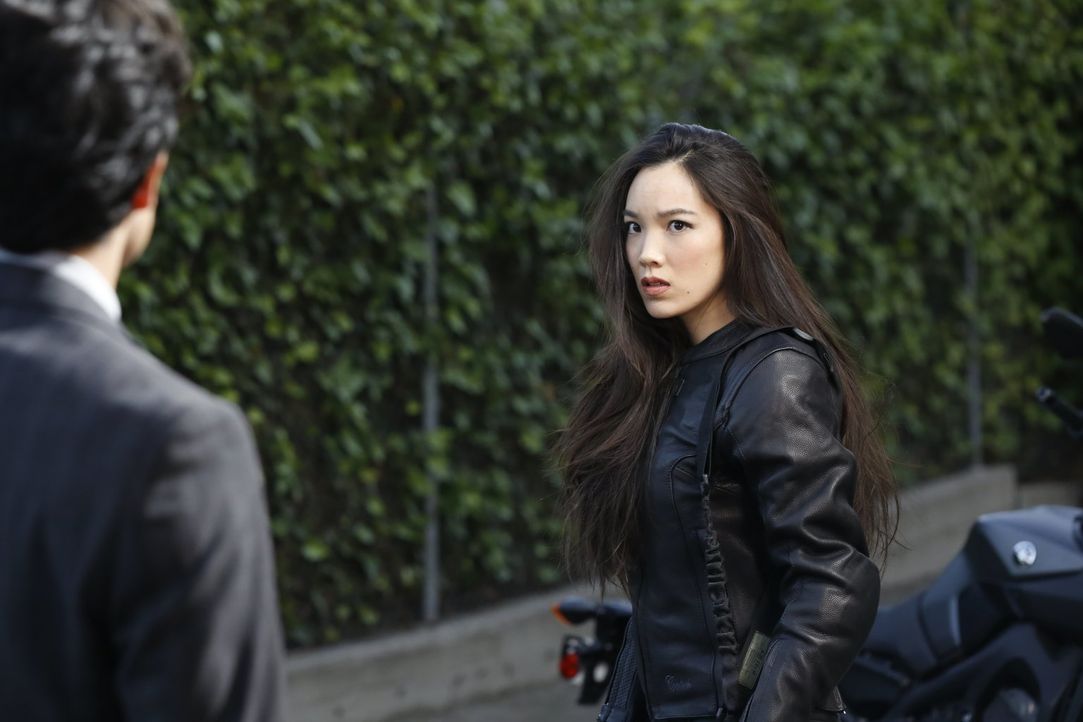 Detective Lee (Jon Foo, l.) kann nicht glauben, dass seine Schwester Kim (Jessika Van, r.), die er für tot gehalten hat, für chinesische Verbrechero... - Bildquelle: Warner Brothers
