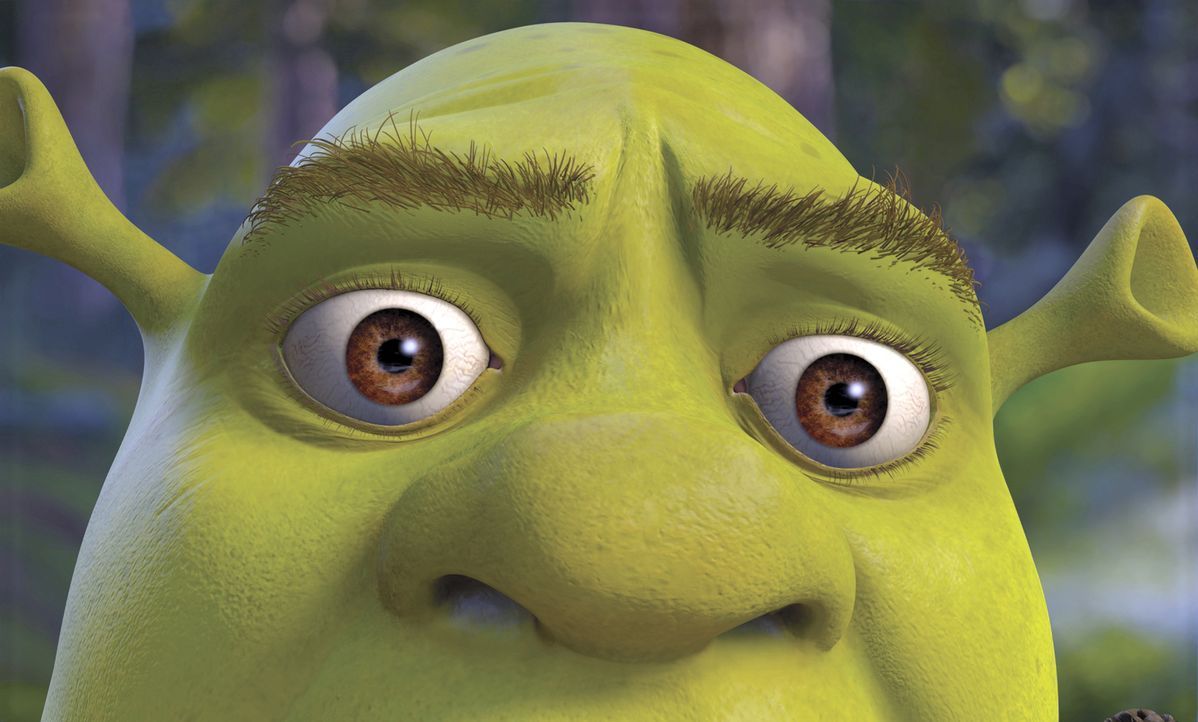 Kaum am Schloss seiner Schwiegereltern angekommen, gerät Shrek mitten in ein neues aufregendes Abenteuer ... - Bildquelle: DreamWorks SKG