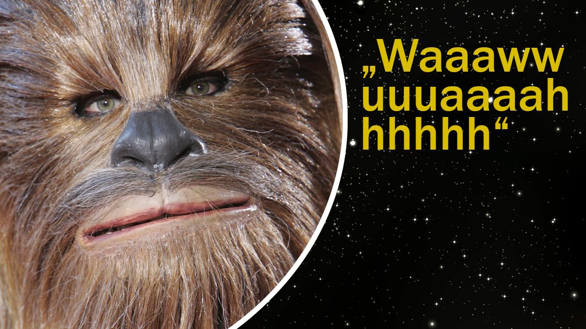 Get Star wars macht zitate Free