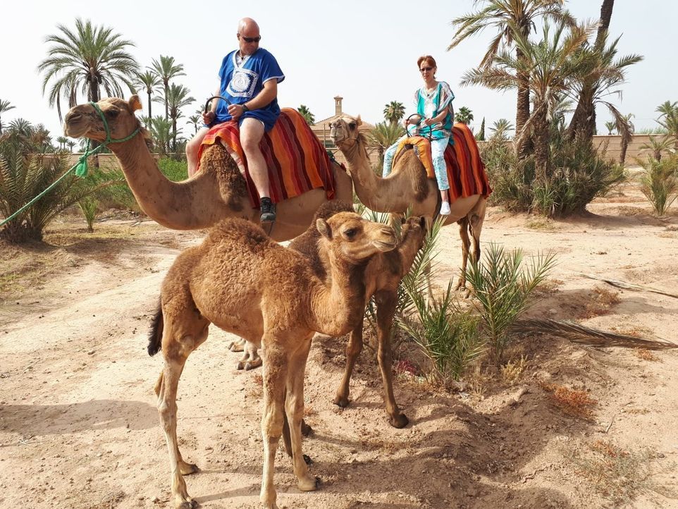 Das rheinländische Ehepaar Bianka (r.) und Ralf (l.) darf ins marokkanische Marrakesch reisen. - Bildquelle: kabel eins