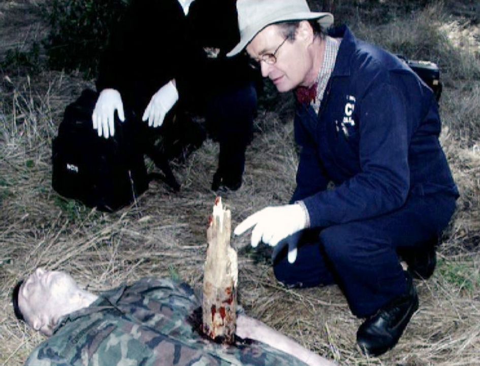 Der Marine Sgt. Thomas Grimm (Kevin Sizemore, vorne) wird, scheinbar von einem Baumstumpf durchbohrt, von ein paar Jugendlichen gefunden. Ducky (Dav... - Bildquelle: CBS Television