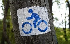 Fahrrad gemalt auf einem Baum