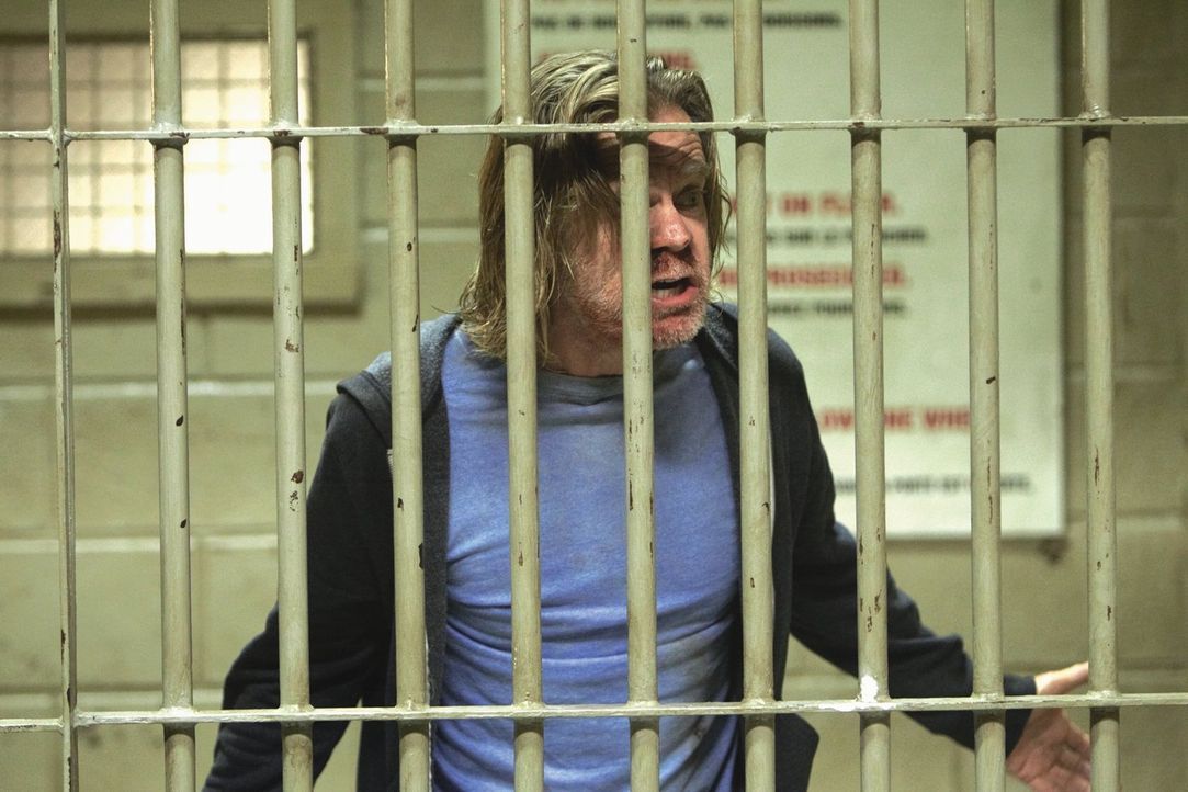 Nach einer weiteren Nacht im Delirium wacht Frank (William H. Macy) in Kanada auf ... - Bildquelle: 2010 Warner Brothers