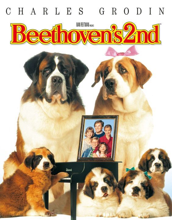 Eine Familie namens Beethoven - Plakat - Bildquelle: Universal Pictures