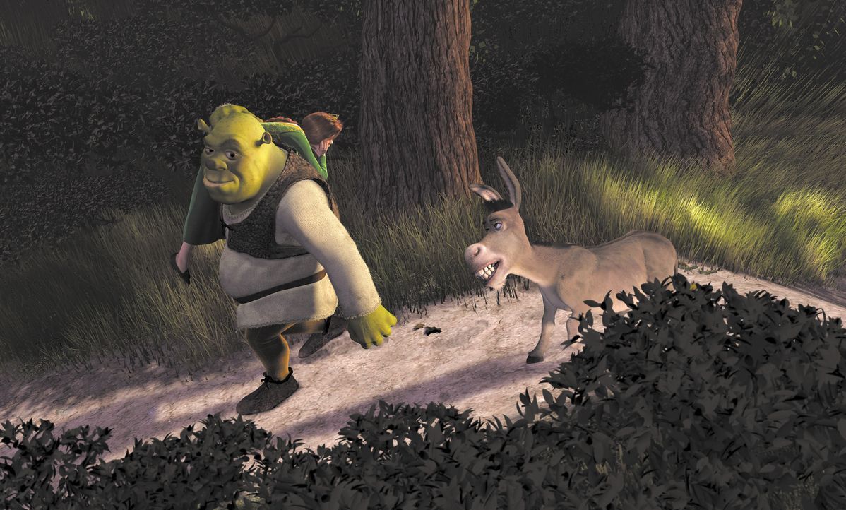 Mit ihrem zickigen Verhalten kommt Prinzessin Fiona (l.) bei Shrek (M.) nicht weit. Er will sie und den sprechenden Esel (r.) so schnell wie möglich... - Bildquelle: TM &   2001 DreamWorks L.L.C.
