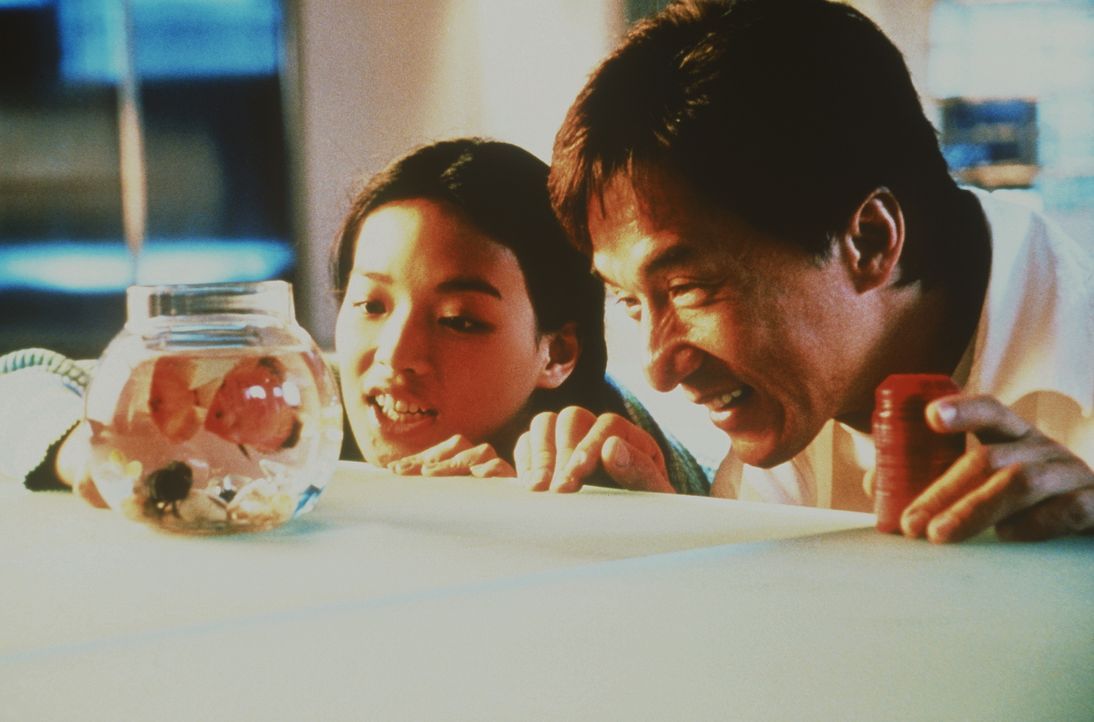 Bereits nach kurzer Zeit entspinnen sich zarte Bande zwischen Bu (Shu Qi, l.) und C. N. (Jackie Chan, r.) ... - Bildquelle: 1999 GH Pictures (China) Limited.