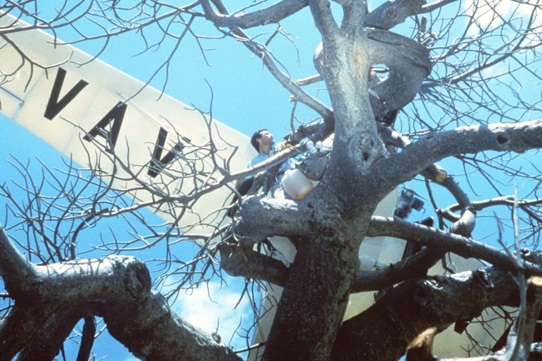 Der Zoologe Dr. Stephen Marshall (Hans Strydom) hat ein Problem: Er musste mit seinem Leichtflugzeug in einem Affenbrotbaum notlanden ... - Bildquelle: Columbia Pictures