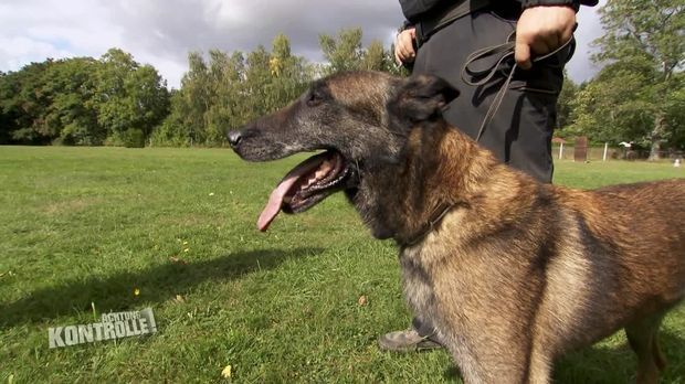 Achtung Kontrolle - Achtung Kontrolle! - Thema U.a.: Polizeihund Auf Verfolgungsjagd - Bundespolizei Diensthundeführer