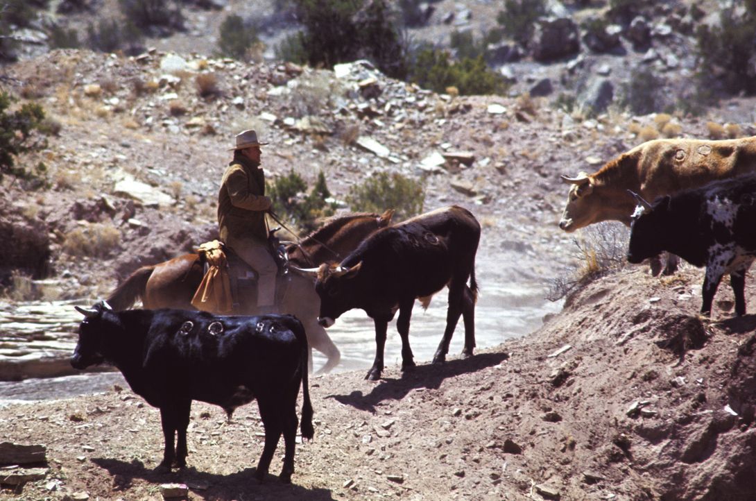 Der Goldrausch befällt den Wilden Westen und auf einmal ist Wil Andersen (John Wayne) mit seinem Vieh allein - und das ausgerechnet kurz vor dem al... - Bildquelle: Warner Bros.
