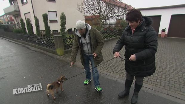 Training für einen extrem aggressiven Hund!