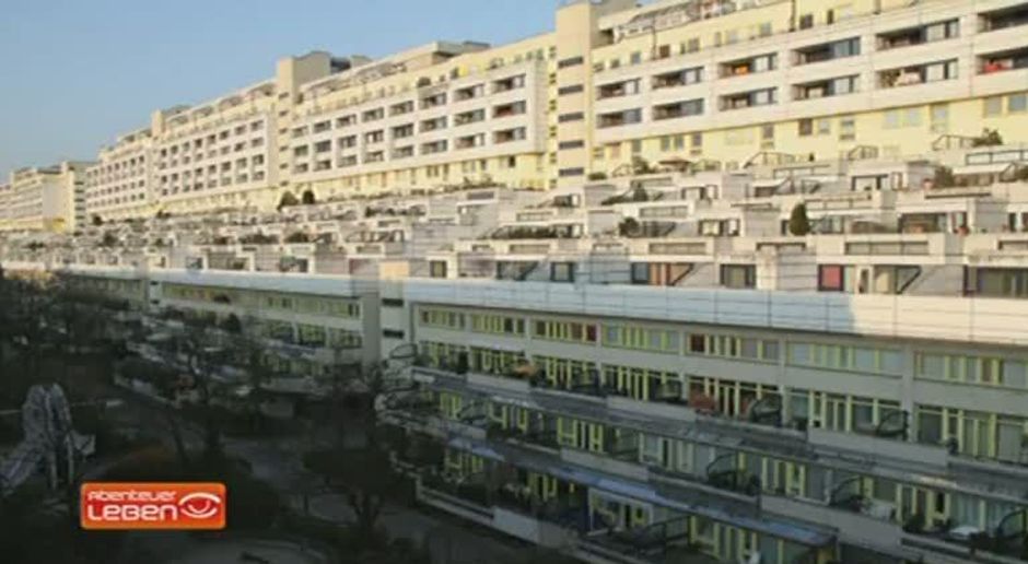Abenteuer Leben Video Fast Forward Die Schlange Das Grosste