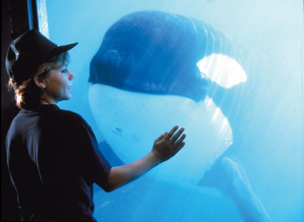 Der Ausreißer Jesse (Jason James Richter) ist von dem gewaltigen Tier sofort fasziniert. Als er erfährt, dass der Parkbesitzer den Wal verkaufen wil... - Bildquelle: Warner Bros.