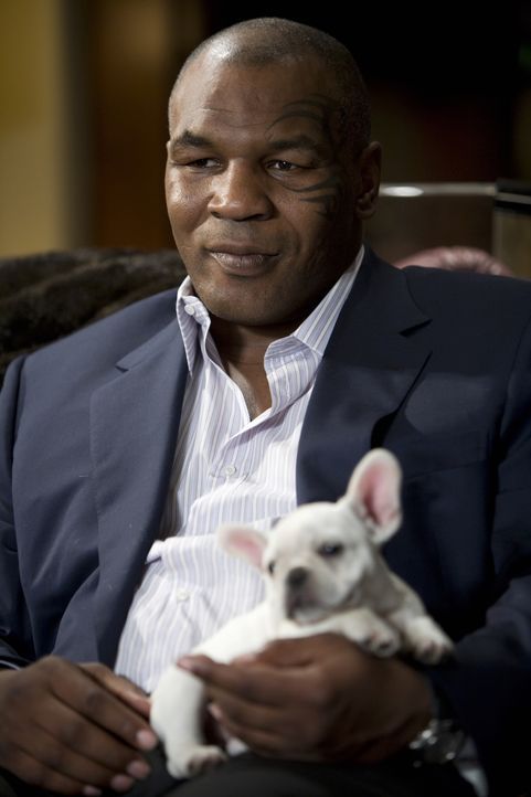 Wenn es um seinen Tiger geht, versteht Mike Tyson keinen Spaß ... - Bildquelle: Warner Brothers