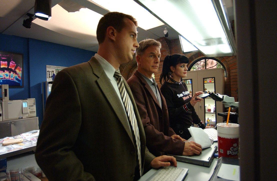 McGee (Sean Murray, l.), Gibbs (Mark Harmon, M.) und Abby (Pauley Perette, r.) arbeiten an einem neuen Fall ... - Bildquelle: CBS Television