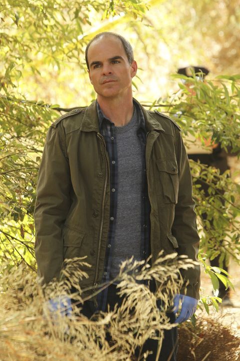 Ein neuer Fall beschäftigt John (Michael Kelly) und seine Kollegen ... - Bildquelle: ABC Studios