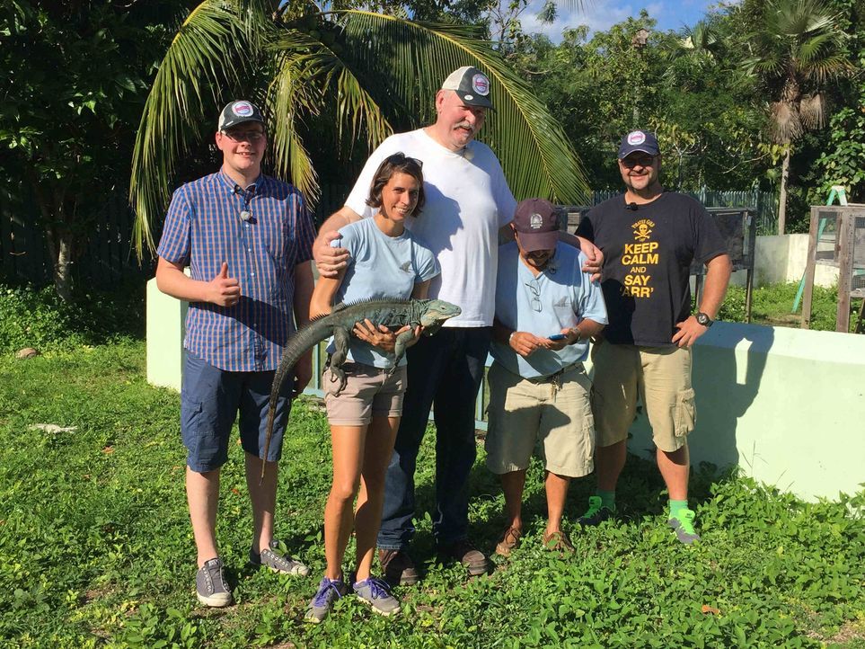 Auf den Cayman Islands treffen Tamme Hanken (M.) und sein Lehrling Anton (l.) in einer Auffangstation für bedrohte Tierarten auf die Ur-Einwohner de... - Bildquelle: kabel eins