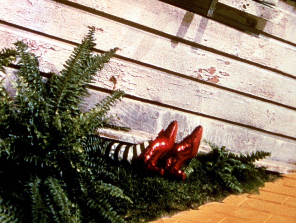 Dorothy ist nach ihrer stürmischen Ankunft in Oz auf der bösen Hexe des Ostens gelandet, die den Aufprall nicht überlebt ... - Bildquelle: Warner Bros.