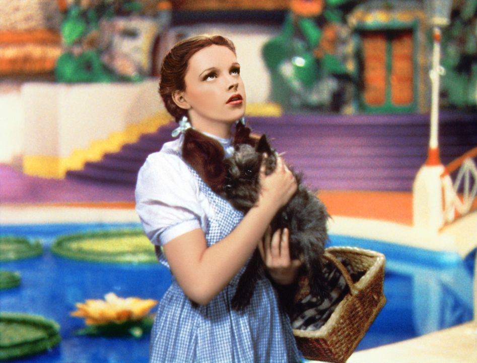Die kleine Dorothy (Judy Garland) aus Kansas landet nach einem Wirbelsturm mitsamt ihrem Hund Toto in dem magischen Land Oz hinter dem Regenbogen ... - Bildquelle: Warner Bros.