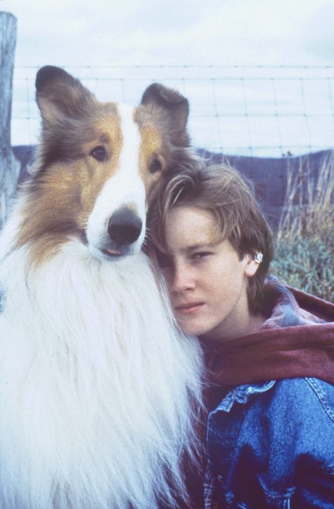 Werden zu einem unzertrennlichen Paar: Matt (Tom Guiry) und die Hündin Lassie ... - Bildquelle: Paramount Pictures
