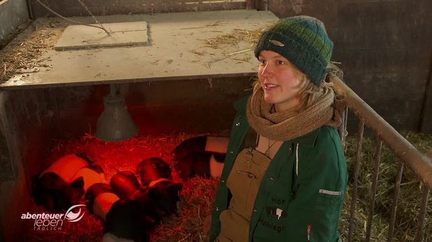 Abenteuer Leben - Abenteuer Leben - Montag: Die Vergessene Schweinerasse