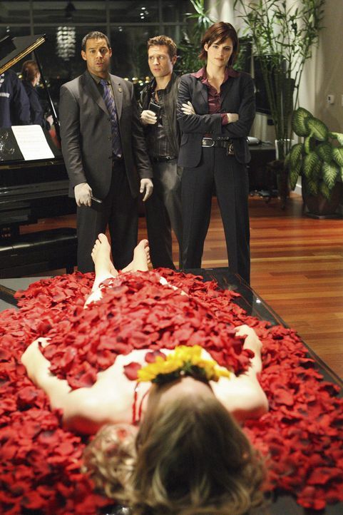 Sozialarbeiterin Alison Tisdale (Kym Jackson, vorne) wird in ihrer Wohnung ermordet aufgefunden. Javier (Jon Huertas, hinten l.), Kate (Stana Katic,... - Bildquelle: ABC Studios