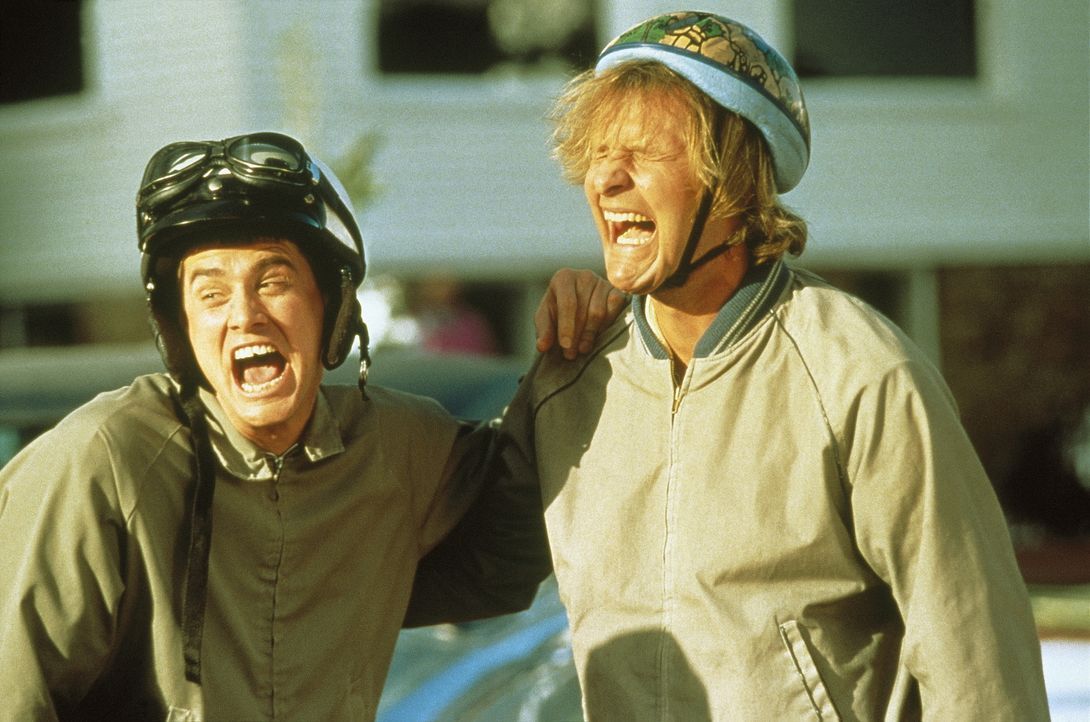 Llyod (Jim Carrey, l.) und Harry (Jeff Daniels, r.) sind zwei liebenswerte Trottel, die irgendwie gar nix zustande kriegen und alles falsch machen.... - Bildquelle: New Line Cinema