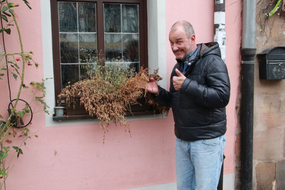 Wird es Frank Rosin gelingen, das Wirtshaus "Grüner Baum" vor dem endgültigen Ruin zu bewahren? - Bildquelle: kabel eins