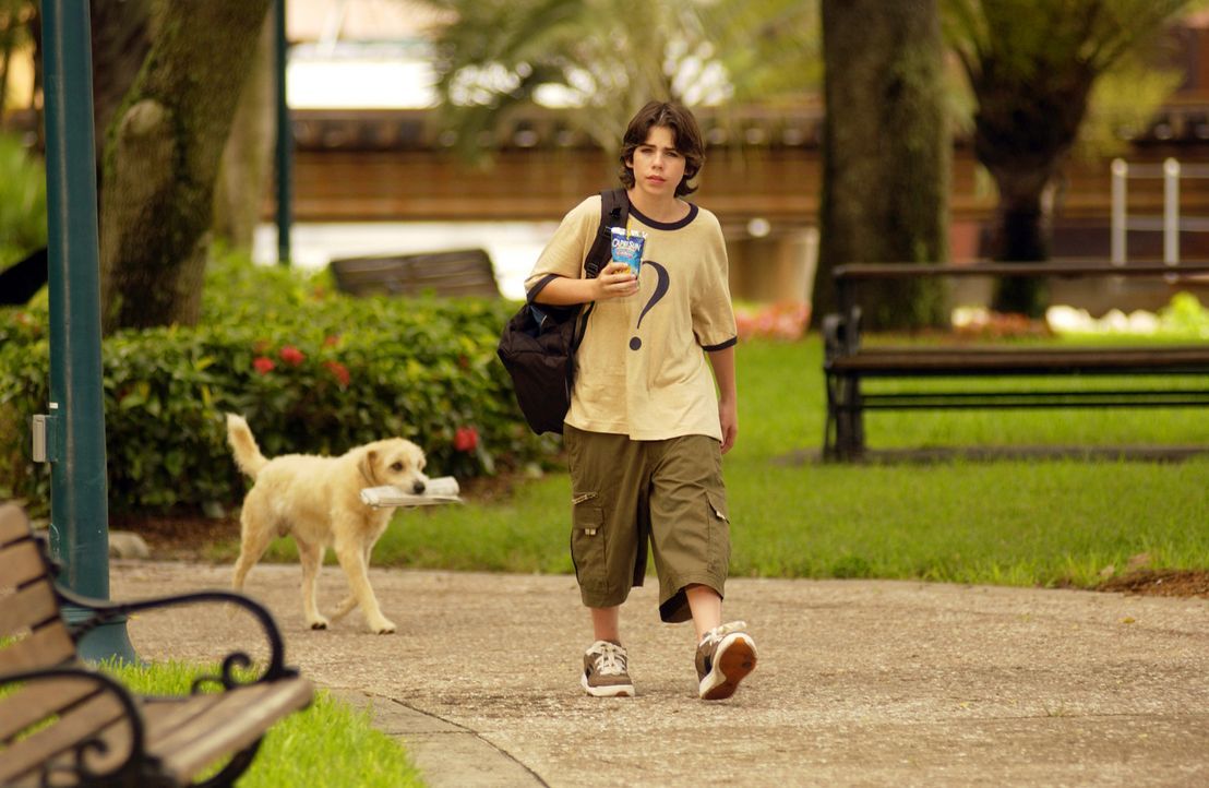 Verspottet von seinen Mitschülern wandert Zach Dylan (Sammy Kahn) traurig durch den Park, als ihm ein Hund begegnet, der aussieht, als könne auch... - Bildquelle: North by Northwest Entertainment