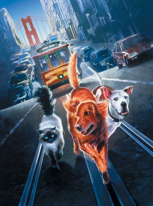 Die abenteuerlustigen Vierbeiner geraten in das Chaos der Großstadt San Francisco. - Bildquelle: Walt Disney Pictures