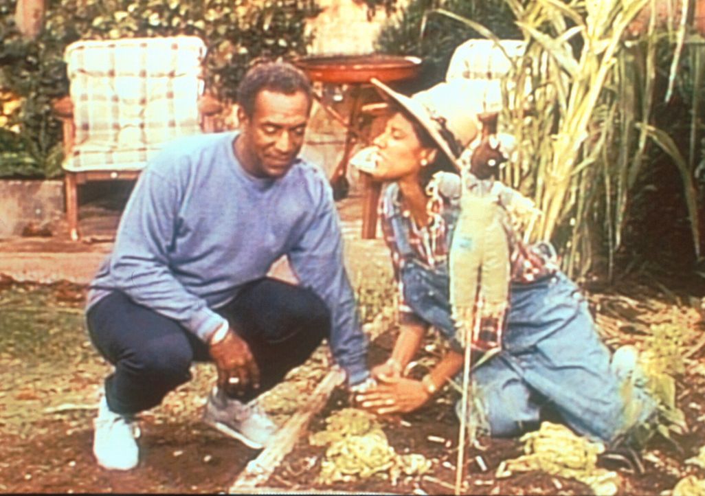 Clair (Phylicia Rashad, r.) und Cliff (Bill Cosby, l.) besprechen in Clairs Garten, was sie mit dem unglücklich verliebten Theo anfangen sollen. - Bildquelle: Viacom