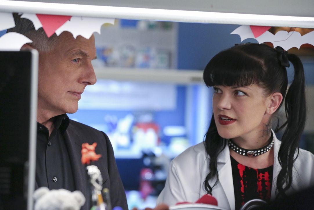 Ein äußerst schwieriger Fall muss gelöst werden: Gibbs (Mark Harmon, l.) und Abby (Pauley Perrette, r.) ermitteln ... - Bildquelle: Michael Yarish 2016 CBS Broadcasting, Inc. All Rights Reserved / Michael Yarish