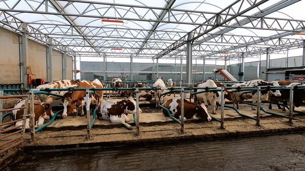 Abenteuer Leben - Abenteuer Leben - Mittwoch: Die Erste Floating Farm Der Welt