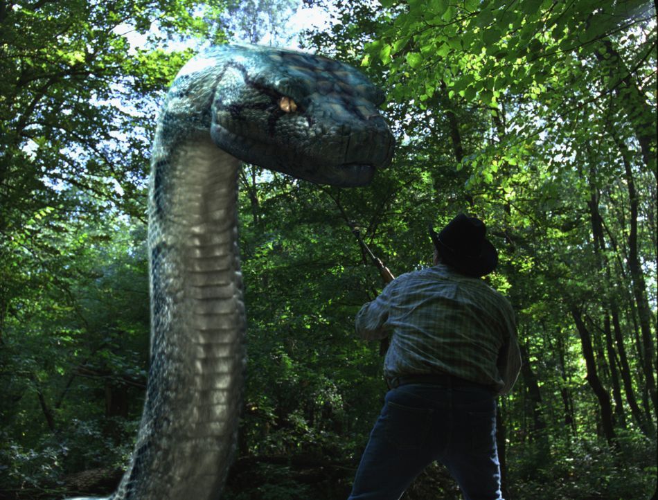Als in einem privaten Wildpark eine riesige Python ausbricht, lässt das FBI eine ebenso große Boa frei, um das gefährliche Killerreptil außer Gefech... - Bildquelle: Sony Pictures Television International. All Rights Reserved.