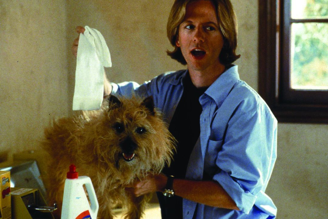 Dylan Ramseys (David Spade) Plan, den Hund seiner Nachbarin zu entführen, um bei ihr landen zu können, geht gewaltig in die Hose ... - Bildquelle: Warner Brothers
